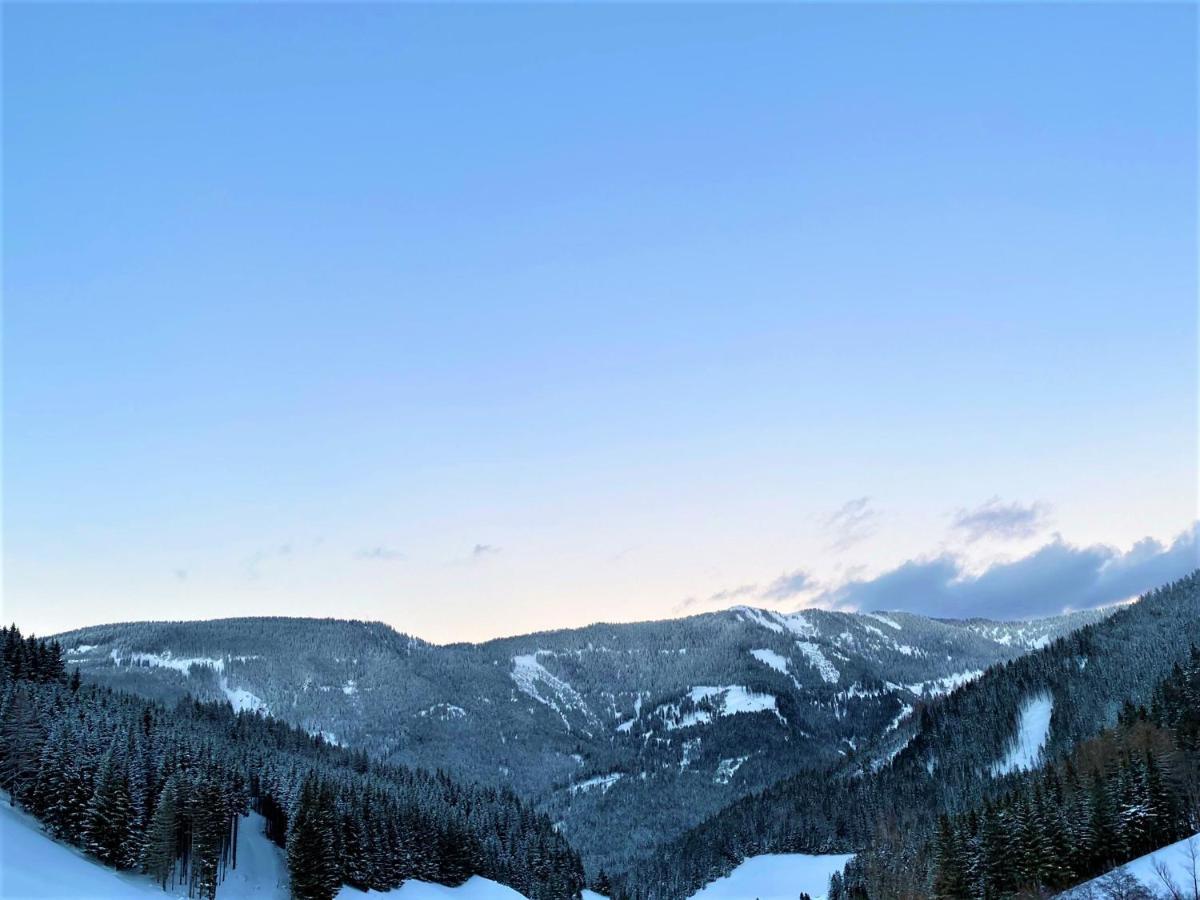 Exclusives An Der Skipiste +dampfbad +netflix *