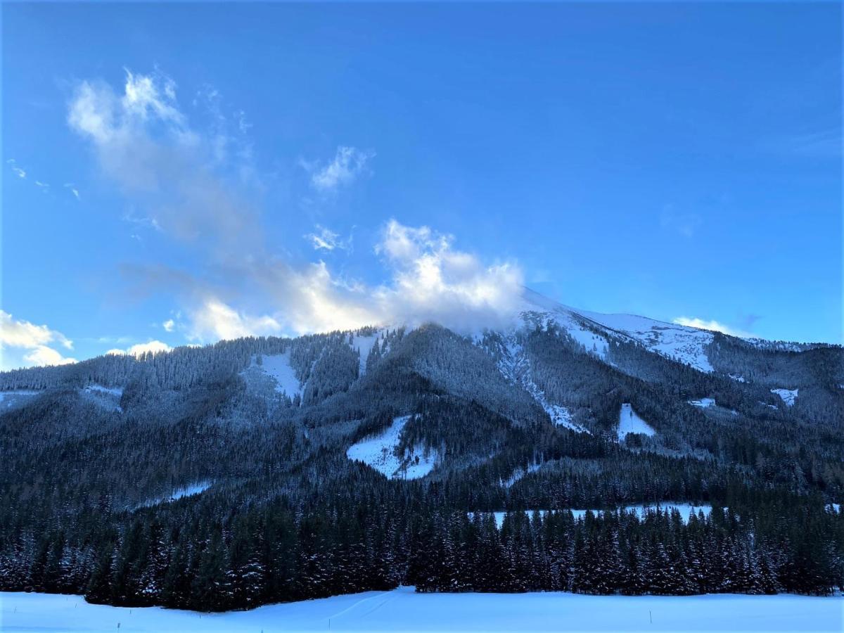 Exclusives An Der Skipiste +dampfbad +netflix Chalet *